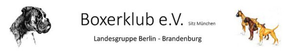 Landesgruppe Bln-BB Boxerklub e.V München